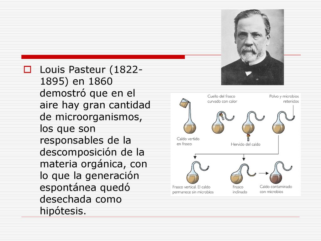 Louis Pasteur ( ) en 1860 demostró que en el aire hay gran cantidad de microorganismos, los que son responsables de la descomposición de la materia orgánica, con lo que la generación espontánea quedó desechada como hipótesis.