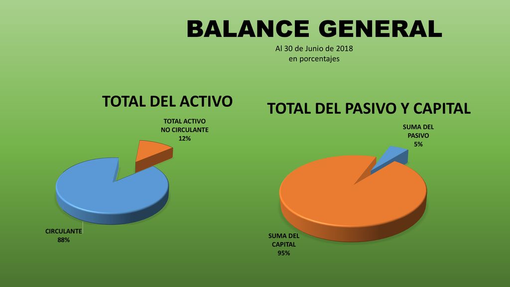BALANCE GENERAL Al 30 de Junio de 2018 en porcentajes