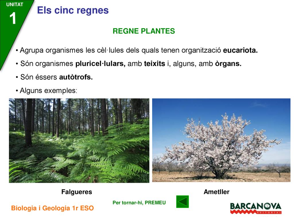 1 REGNE PLANTES. • Agrupa organismes les cèl·lules dels quals tenen organització eucariota.