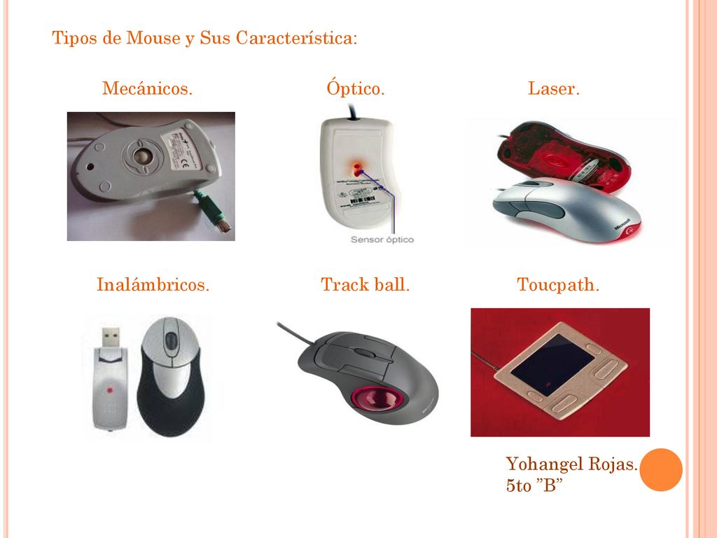 Tipos de Mouse y Sus Característica: