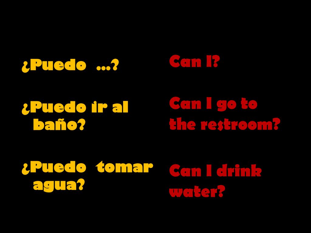 FRASES IMPORTANTES Can I Can I go to the restroom Can I drink water