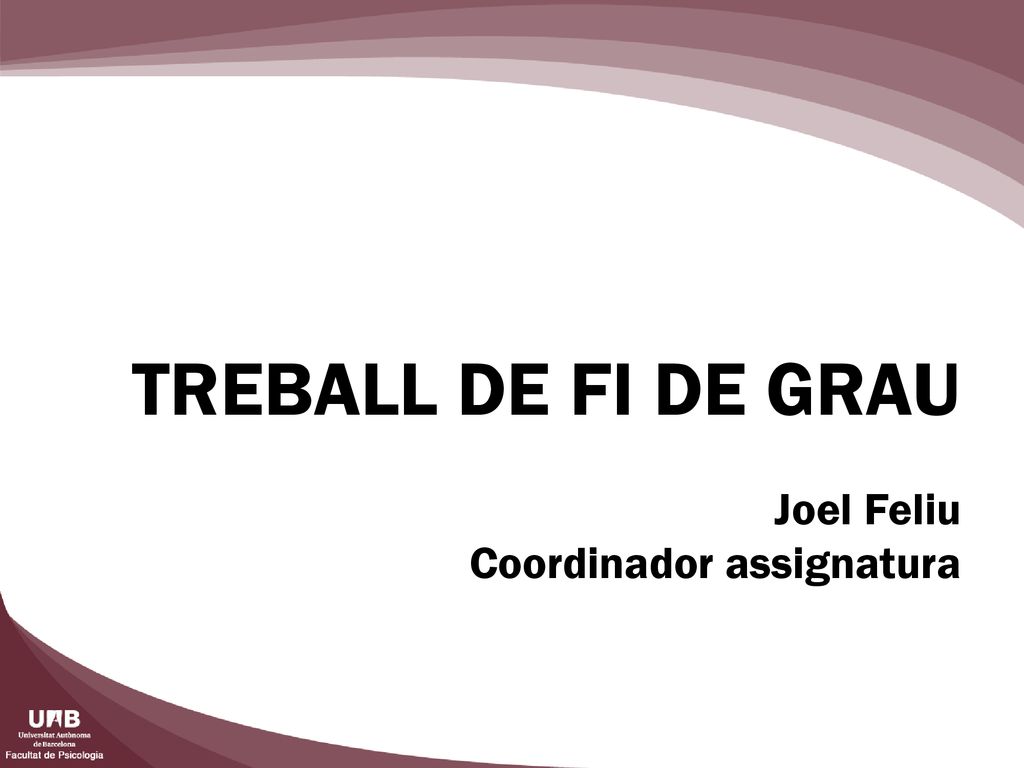 TREBALL DE FI DE GRAU Joel Feliu Coordinador assignatura