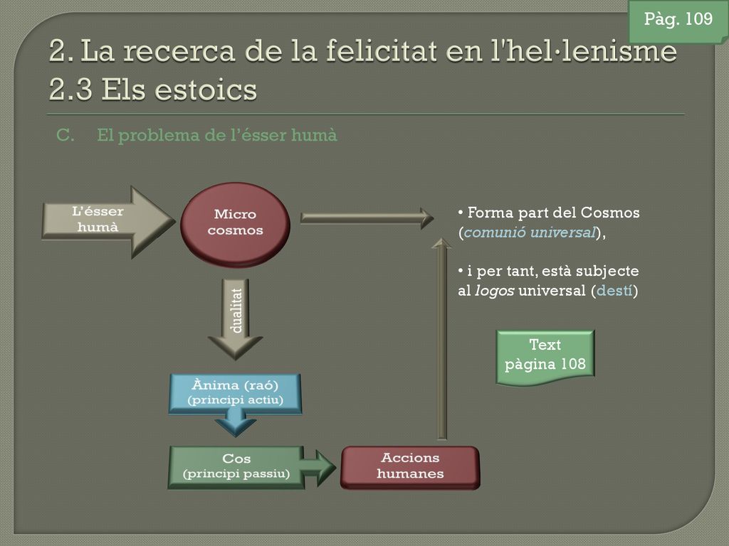 2. La recerca de la felicitat en l hel·lenisme 2.3 Els estoics