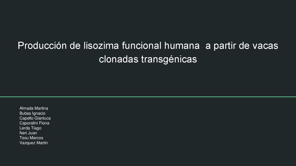 Producción de lisozima funcional humana a partir de vacas clonadas transgénicas