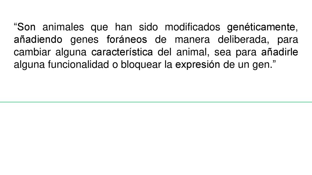 Son animales que han sido modificados genéticamente, añadiendo genes foráneos de manera deliberada, para cambiar alguna característica del animal, sea para añadirle alguna funcionalidad o bloquear la expresión de un gen.