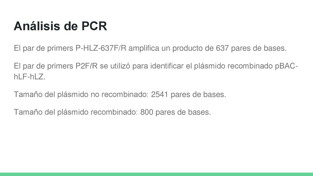 Análisis de PCR El par de primers P-HLZ-637F/R amplifica un producto de 637 pares de bases.