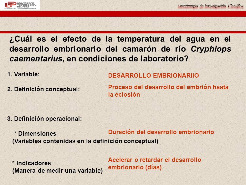 ¿Cuál es el efecto de la temperatura del agua en el desarrollo embrionario del camarón de río Cryphiops caementarius, en condiciones de laboratorio