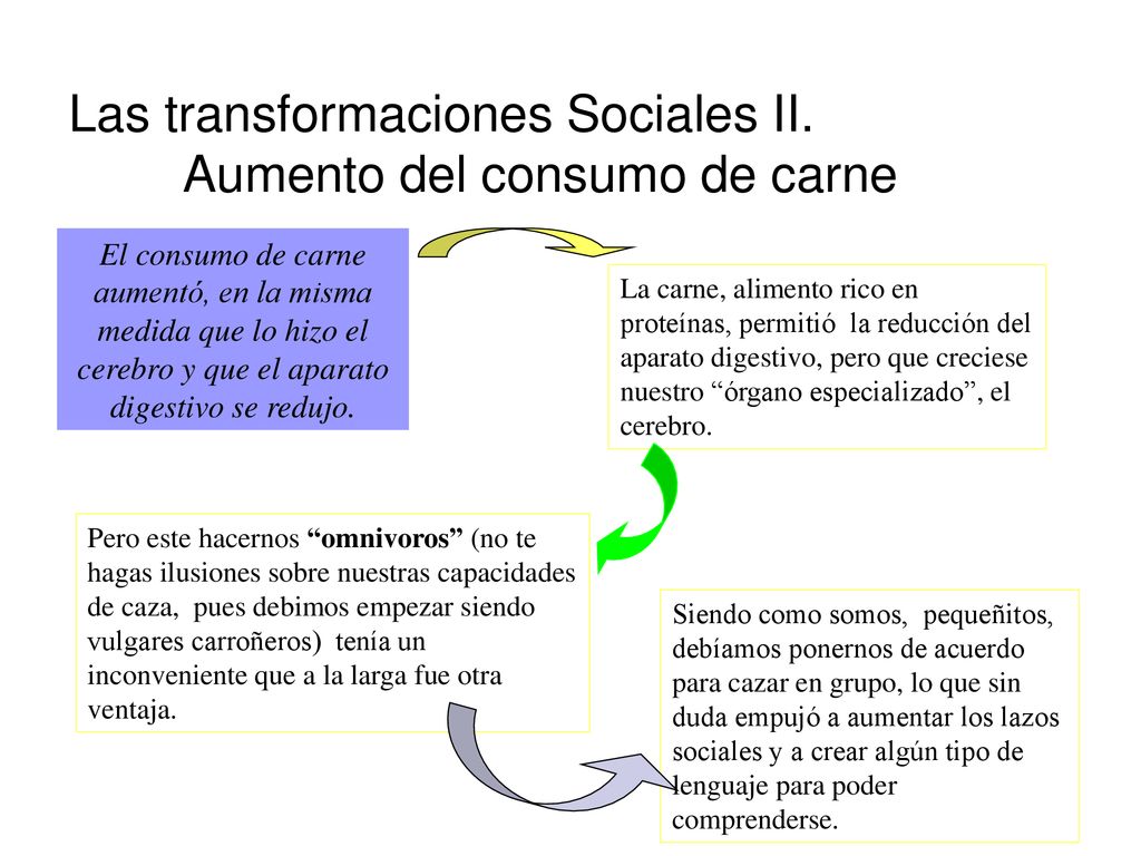 Las transformaciones Sociales II. Aumento del consumo de carne