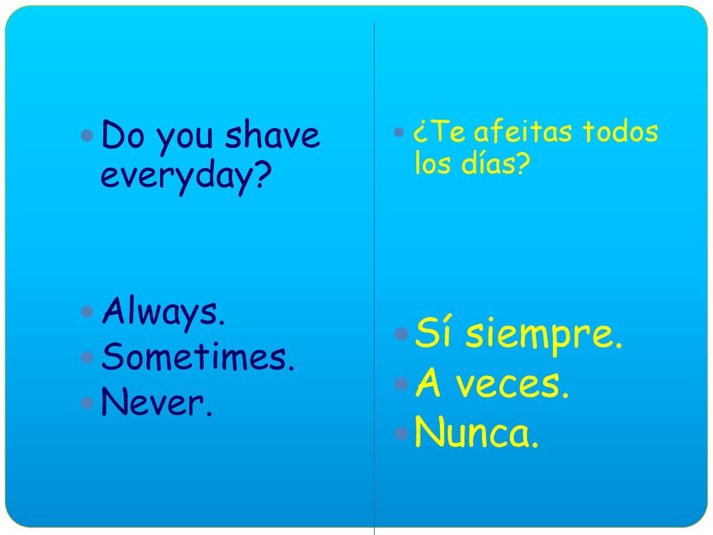 Sí siempre. A veces. Nunca. Do you shave everyday Always. Sometimes.
