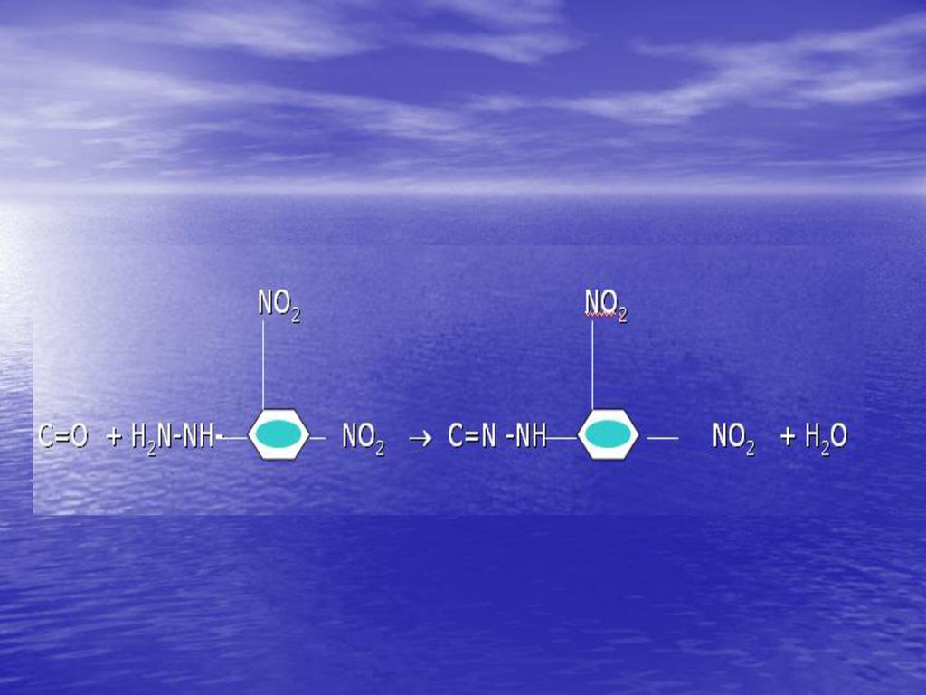 NO2 NO2 C=O + H2N-NH- NO2  C=N -NH NO2 + H2O