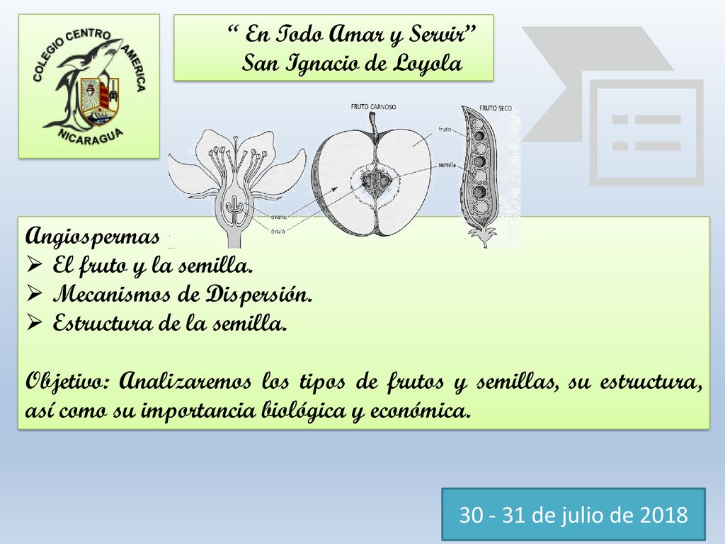 En Todo Amar y Servir San Ignacio de Loyola. Angiospermas. El fruto y la semilla. Mecanismos de Dispersión.