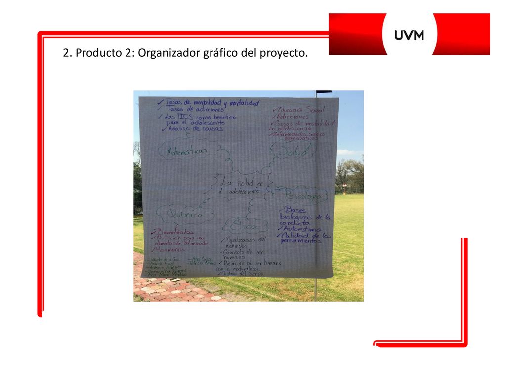 2. Producto 2: Organizador gráfico del proyecto.