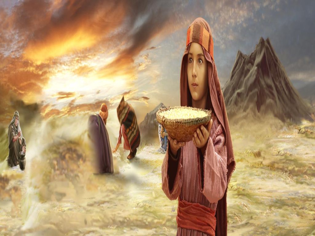 En la1ª Lectura, Dios alimenta al Pueblo con el MANÁ. (Ex 16,2-4