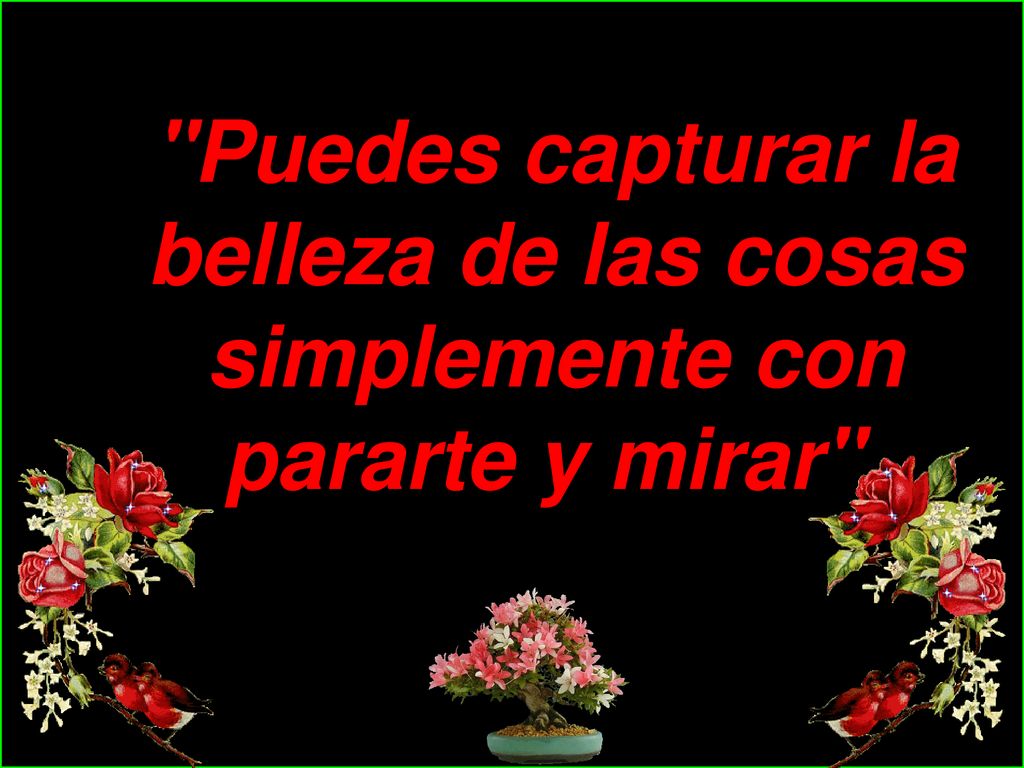 Puedes capturar la belleza de las cosas simplemente con pararte y mirar