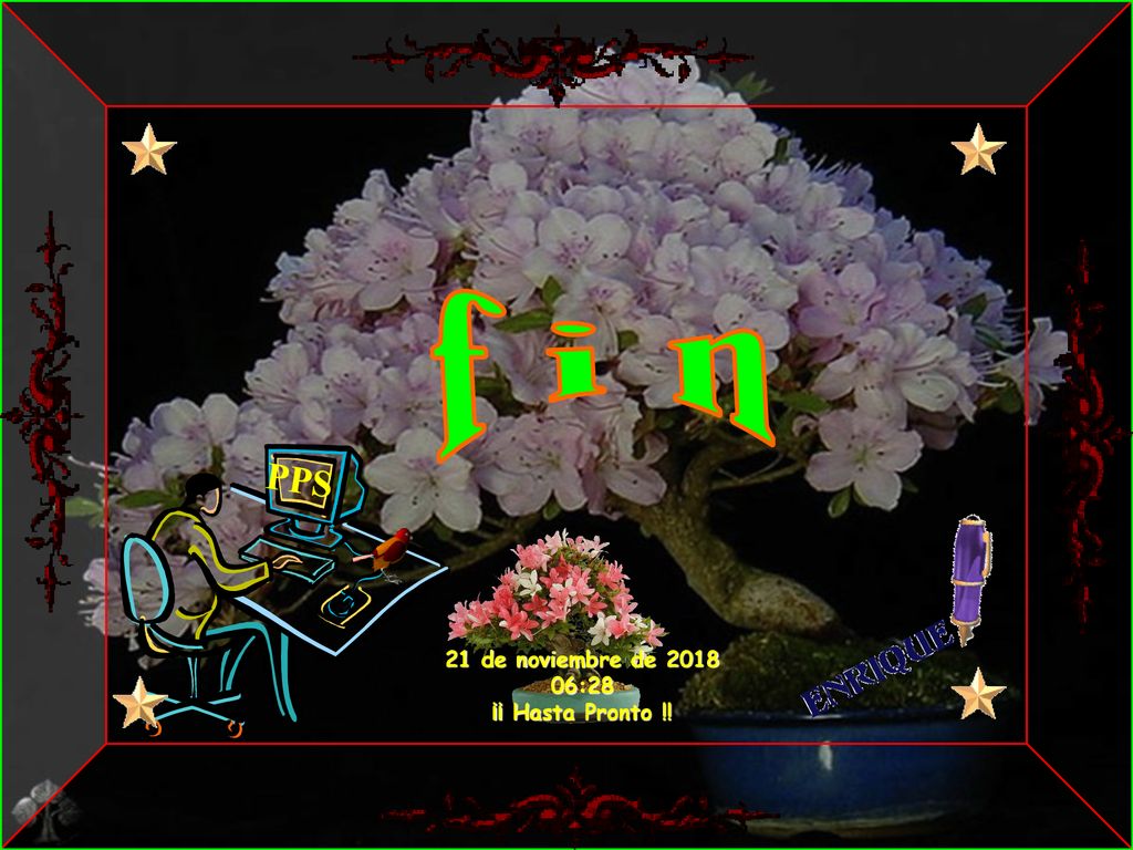 f i n PPS 21 de noviembre de :28 ¡¡ Hasta Pronto !!