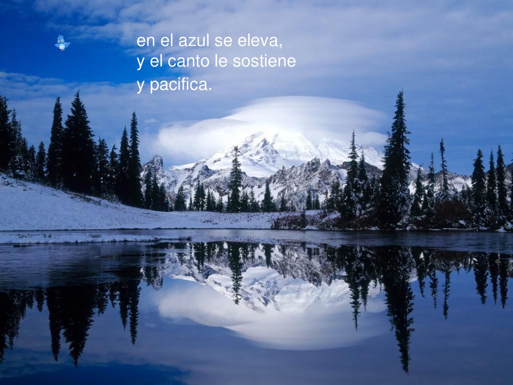 en el azul se eleva, y el canto le sostiene y pacifica.