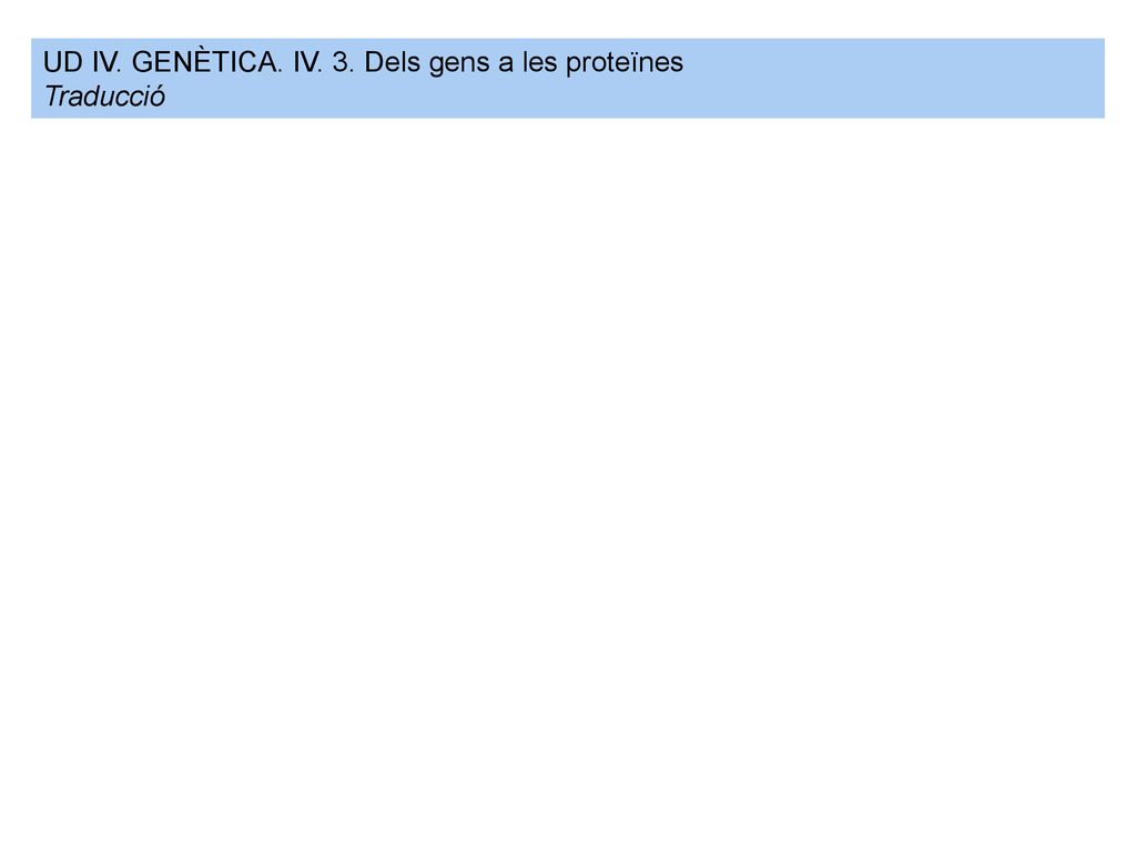 UD IV. GENÈTICA. IV. 3. Dels gens a les proteïnes