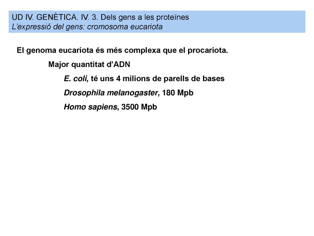UD IV. GENÈTICA. IV. 3. Dels gens a les proteïnes
