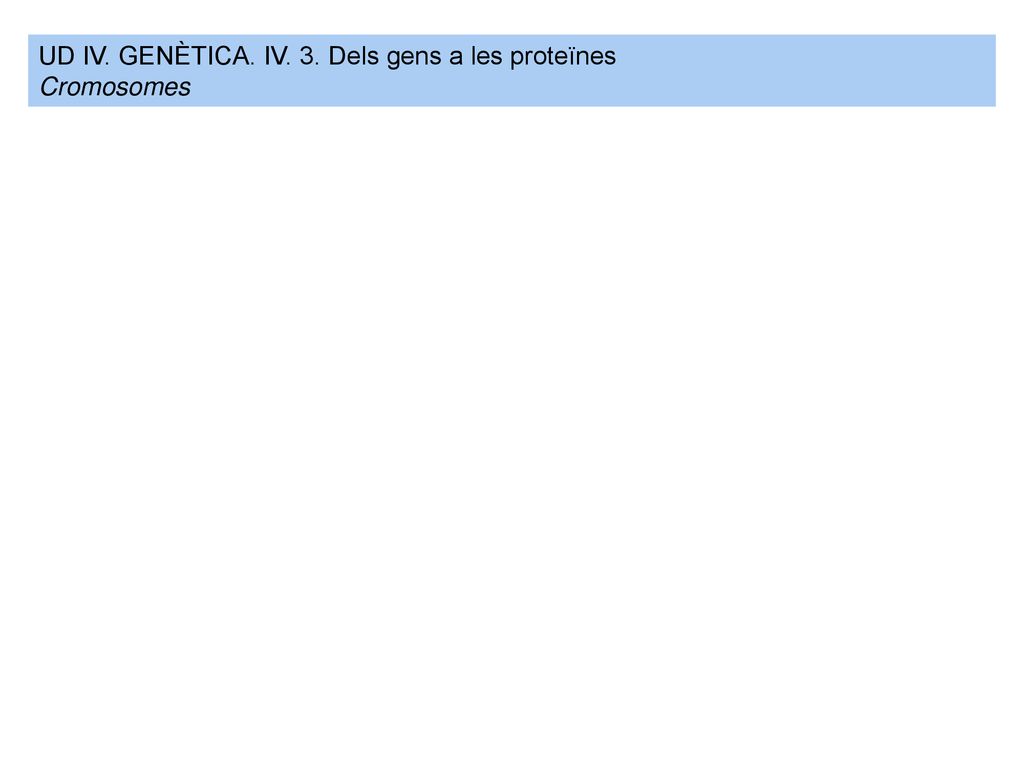 UD IV. GENÈTICA. IV. 3. Dels gens a les proteïnes