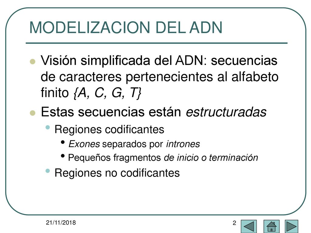 MODELIZACION DEL ADN Visión simplificada del ADN: secuencias de caracteres pertenecientes al alfabeto finito {A, C, G, T}