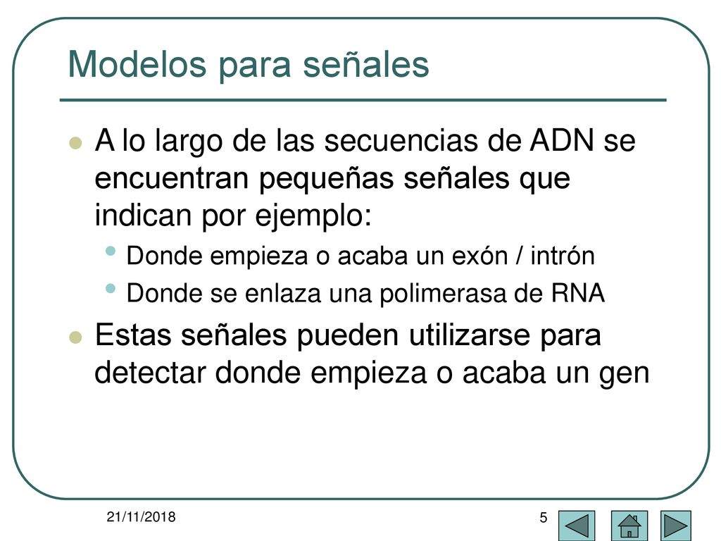 Modelos para señales A lo largo de las secuencias de ADN se encuentran pequeñas señales que indican por ejemplo: