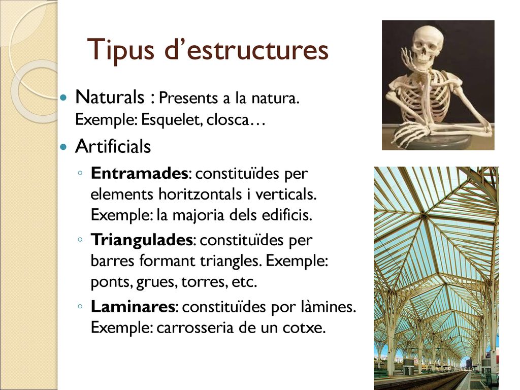 Tipus d’estructures Naturals : Presents a la natura. Exemple: Esquelet, closca… Artificials.