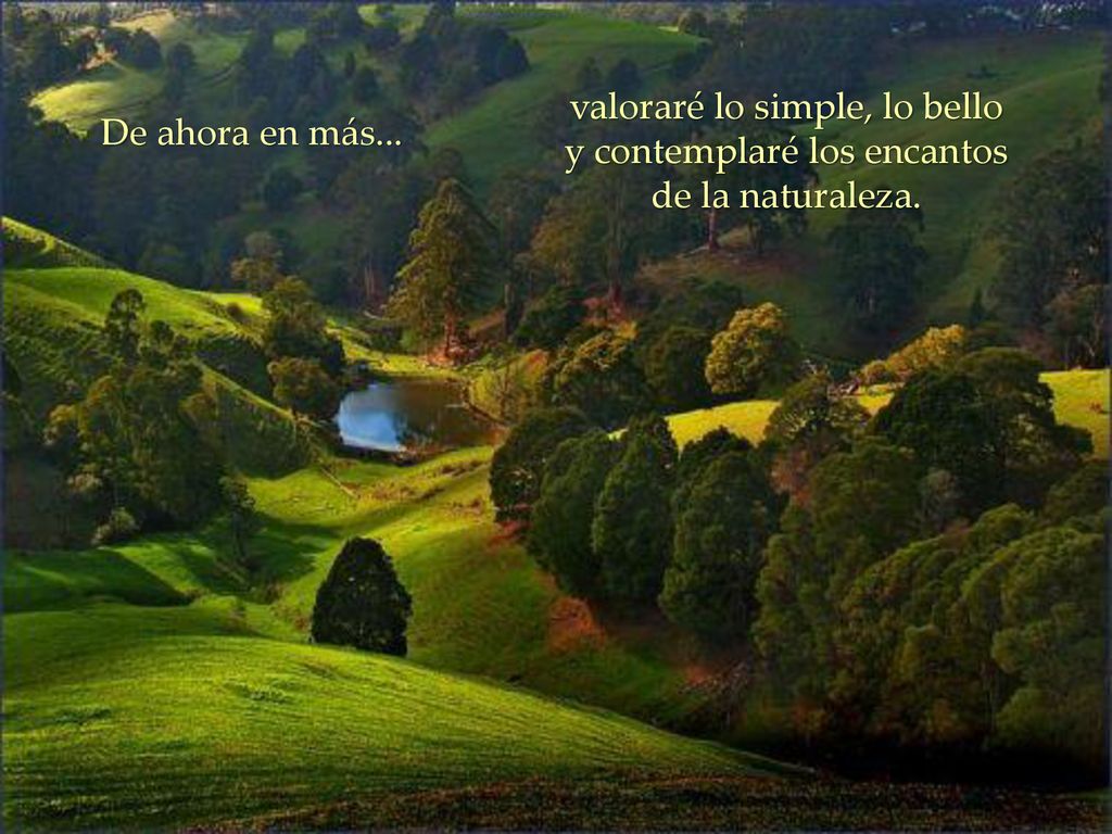 valoraré lo simple, lo bello y contemplaré los encantos de la naturaleza.