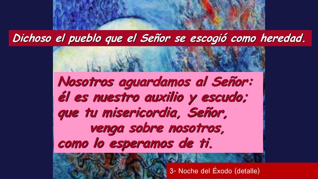Nosotros aguardamos al Señor: él es nuestro auxilio y escudo;