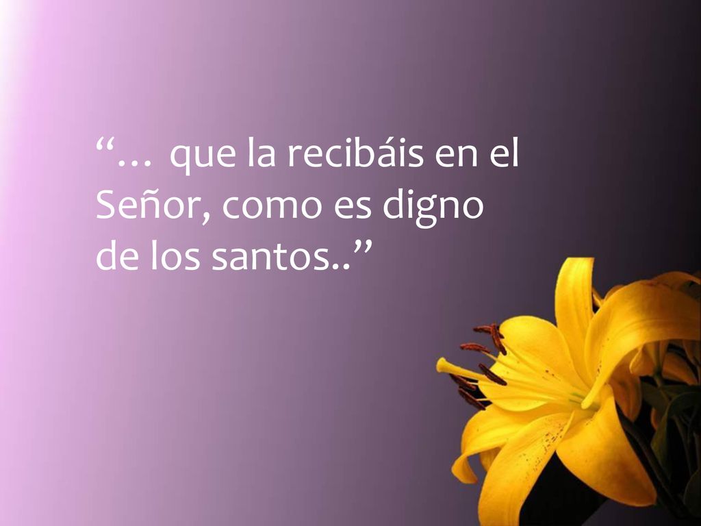 … que la recibáis en el Señor, como es digno de los santos..