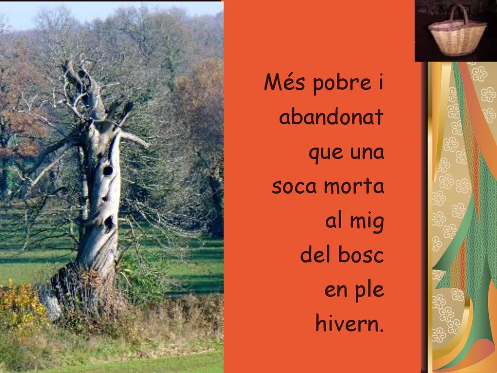 Més pobre i abandonat que una soca morta al mig del bosc en ple hivern.