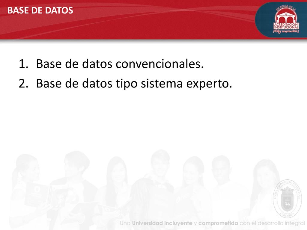 Base de datos convencionales. Base de datos tipo sistema experto.