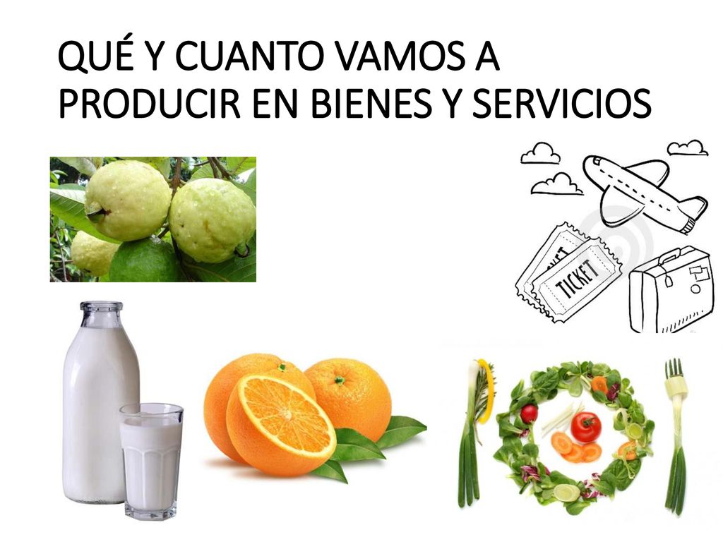QUÉ Y CUANTO VAMOS A PRODUCIR EN BIENES Y SERVICIOS