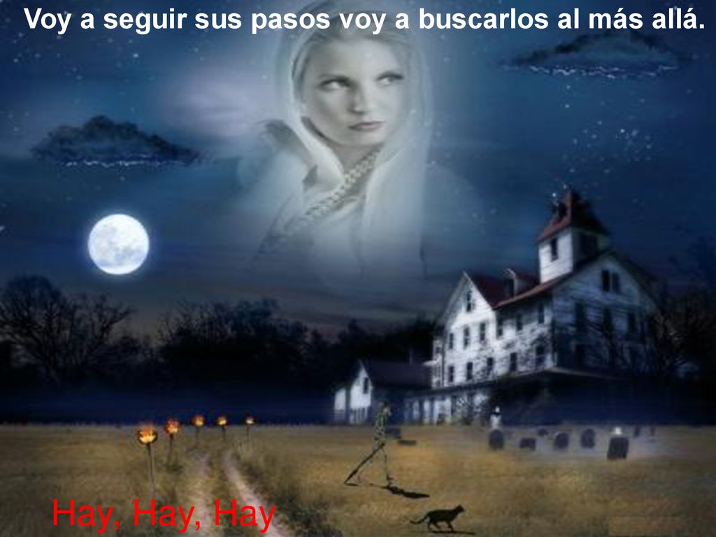 Voy a seguir sus pasos voy a buscarlos al más allá.