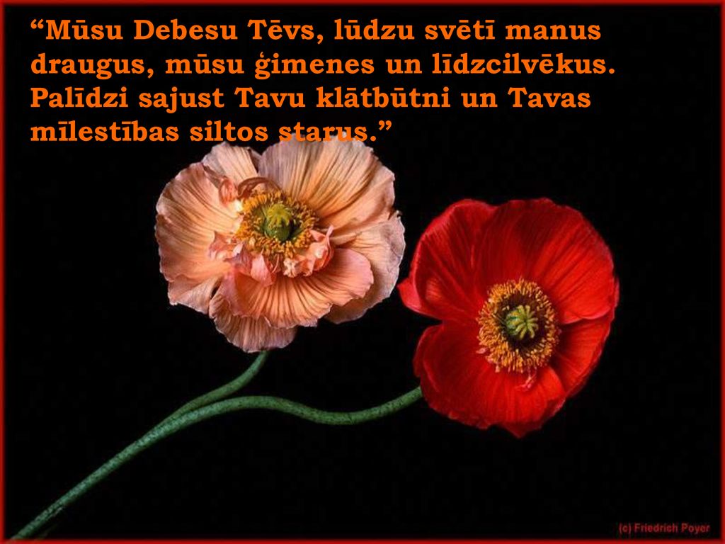 Mūsu Debesu Tēvs, lūdzu svētī manus draugus, mūsu ģimenes un līdzcilvēkus.