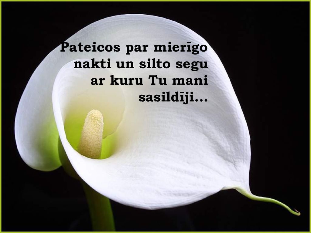 Pateicos par mierīgo nakti un silto segu ar kuru Tu mani sasildīji…