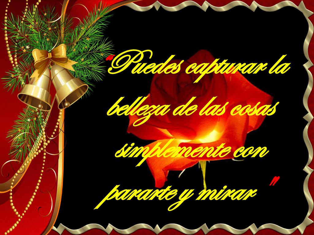 Puedes capturar la belleza de las cosas simplemente con pararte y mirar