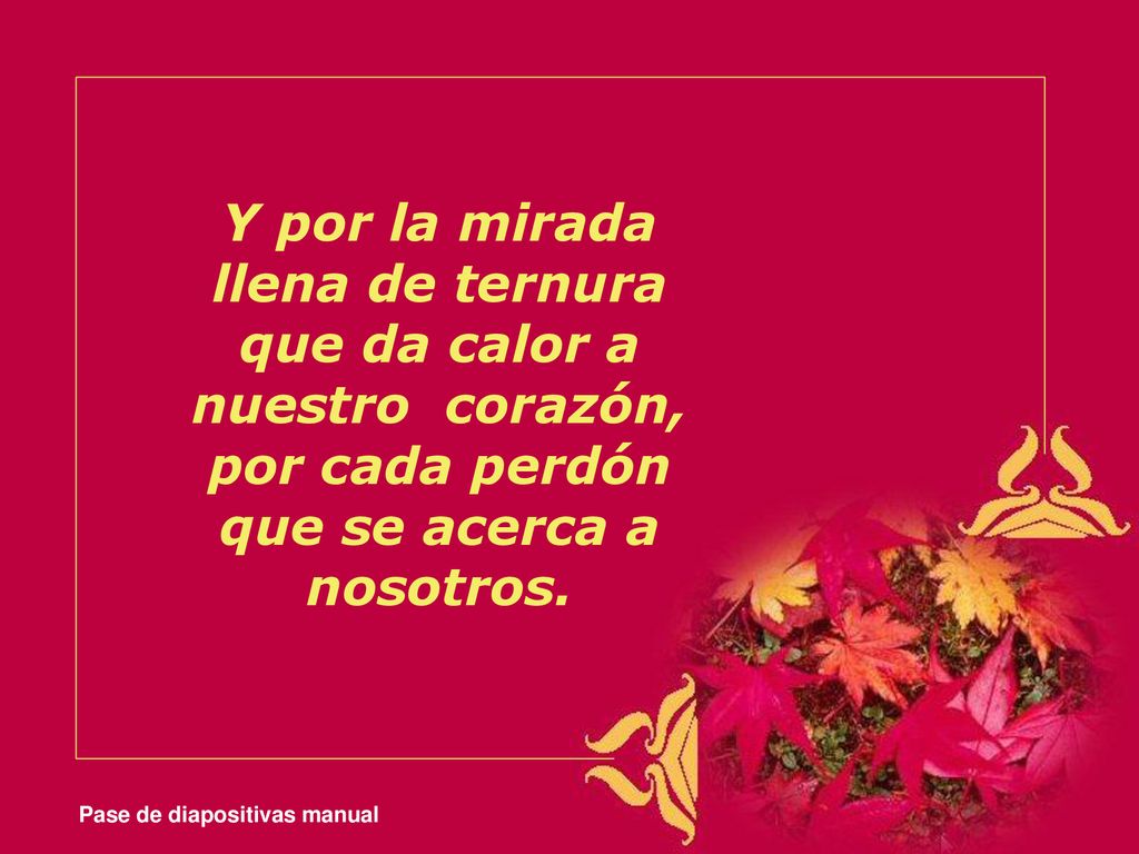 Y por la mirada llena de ternura que da calor a nuestro corazón, por cada perdón que se acerca a nosotros.