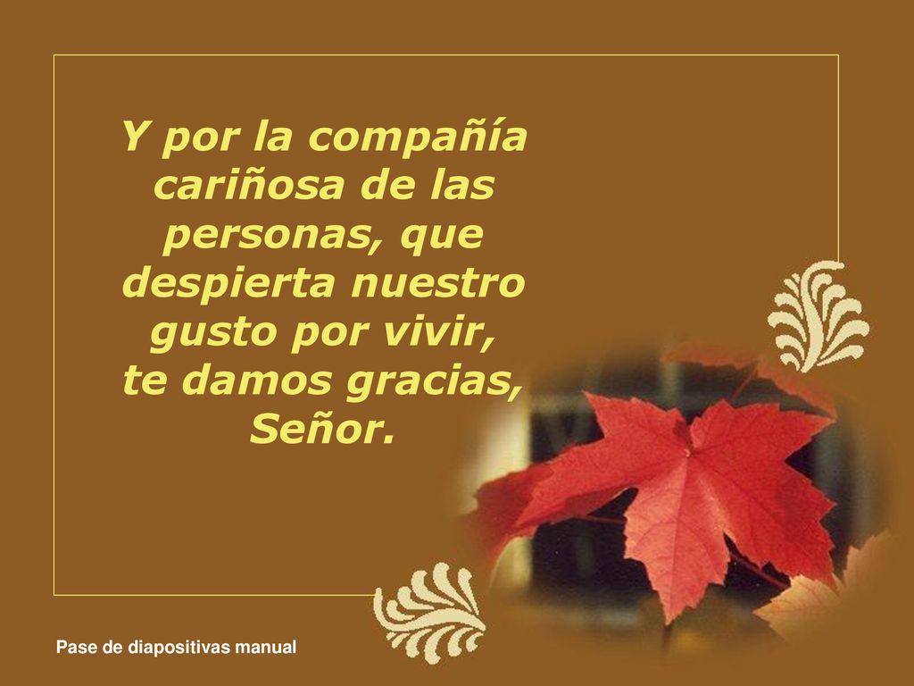 Y por la compañía cariñosa de las personas, que despierta nuestro gusto por vivir, te damos gracias, Señor.