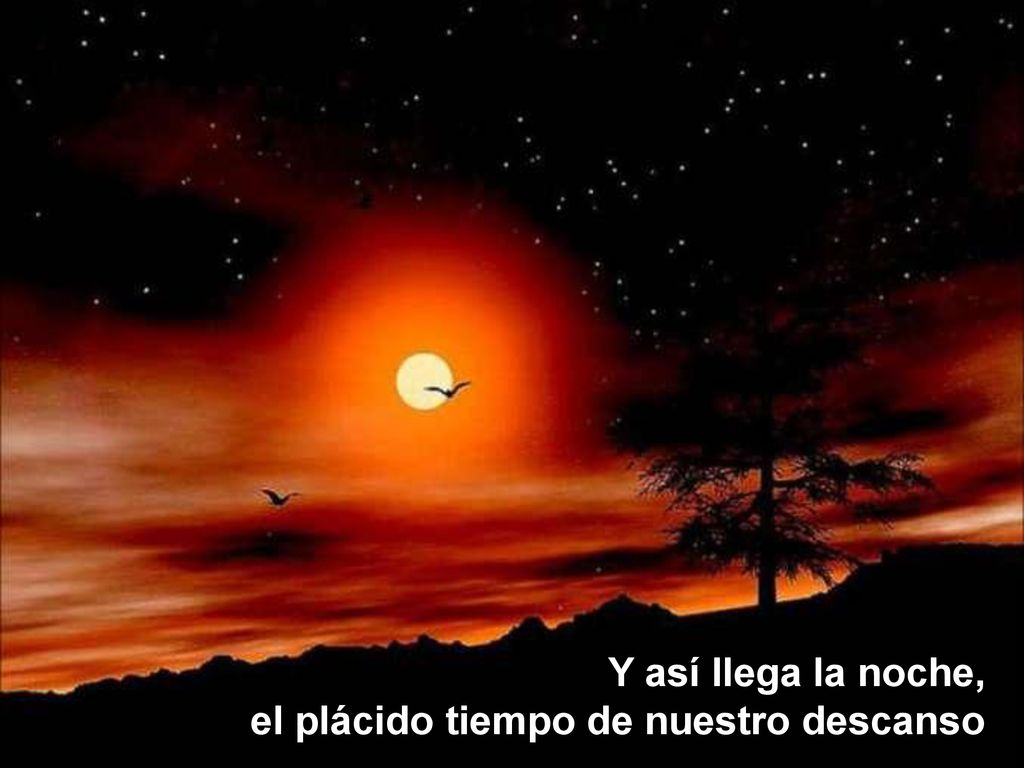 Y así llega la noche, el plácido tiempo de nuestro descanso