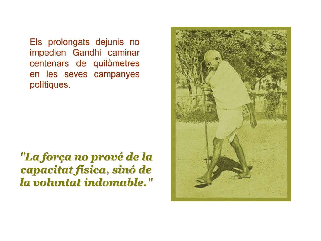 Els prolongats dejunis no impedien Gandhi caminar centenars de quilòmetres en les seves campanyes polítiques.