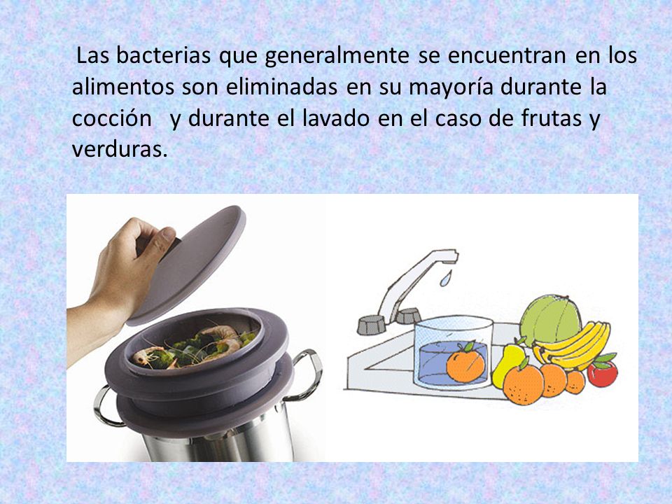 Las bacterias que generalmente se encuentran en los alimentos son eliminadas en su mayoría durante la cocción y durante el lavado en el caso de frutas y verduras.
