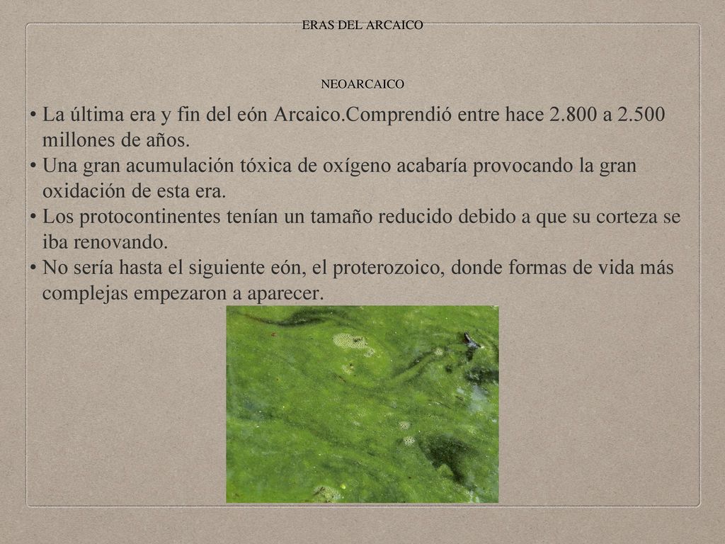 ERAS DEL ARCAICO NEOARCAICO. La última era y fin del eón Arcaico.Comprendió entre hace a millones de años.