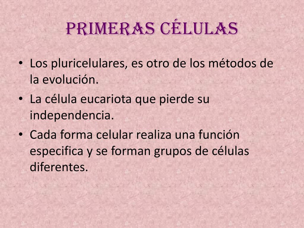 Primeras células Los pluricelulares, es otro de los métodos de la evolución. La célula eucariota que pierde su independencia.