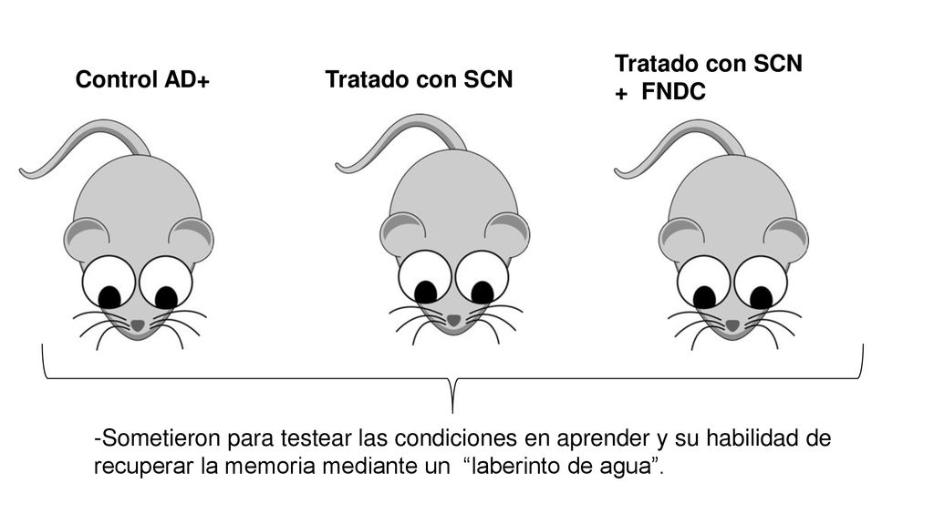 Tratado con SCN + FNDC Control AD+ Tratado con SCN.