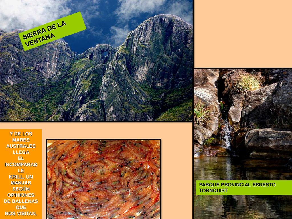 SIERRA DE LA VENTANA Y DE LOS MARES AUSTRALES LLEGA EL INCOMPARABLE