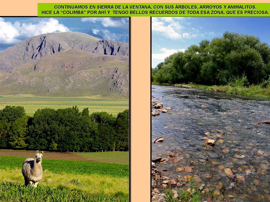 CONTINUAMOS EN SIERRA DE LA VENTANA, CON SUS ÁRBOLES, ARROYOS Y ANIMALITOS.