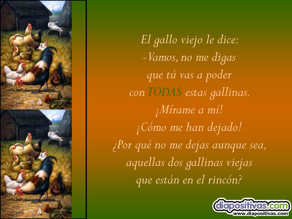 con TODAS estas gallinas. ¡Mírame a mí! ¡Cómo me han dejado!