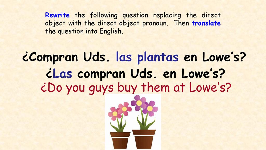 ¿Compran Uds. las plantas en Lowe’s ¿Las compran Uds. en Lowe’s