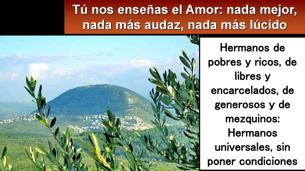 Tú nos enseñas el Amor: nada mejor, nada más audaz, nada más lúcido