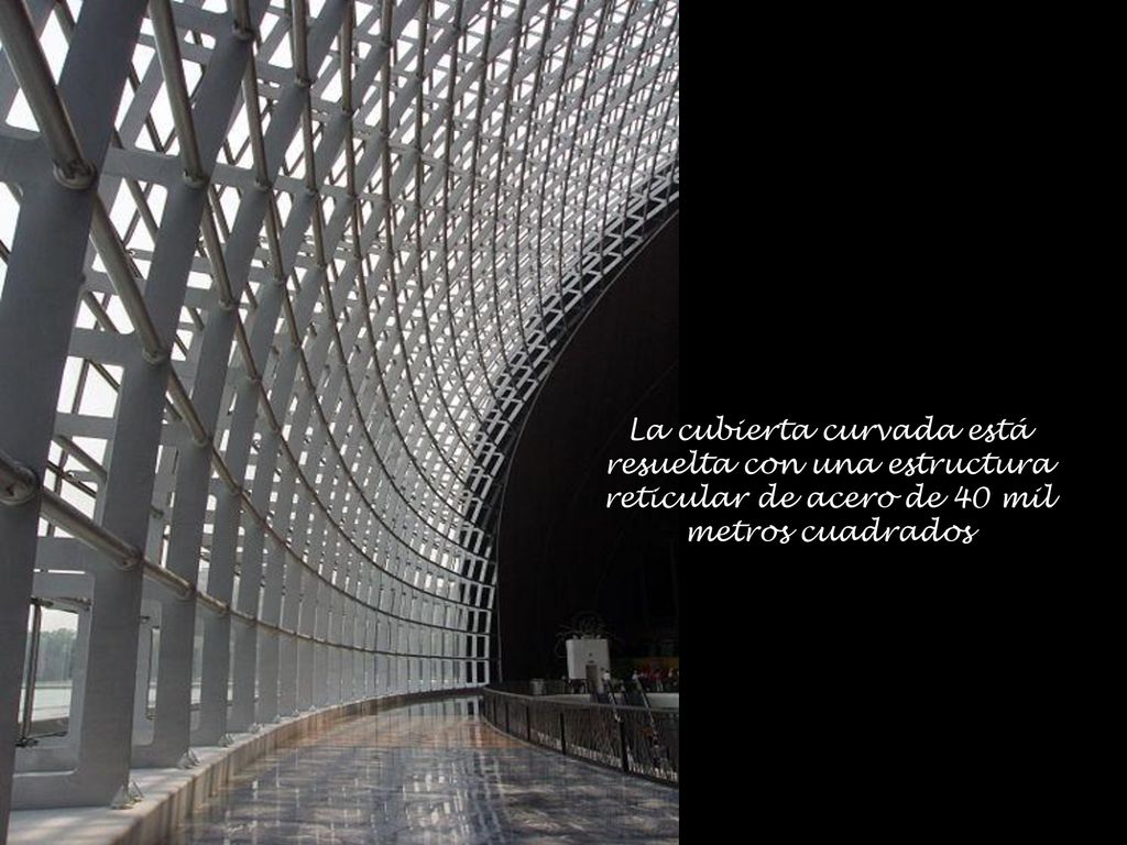 La cubierta curvada está resuelta con una estructura reticular de acero de 40 mil metros cuadrados